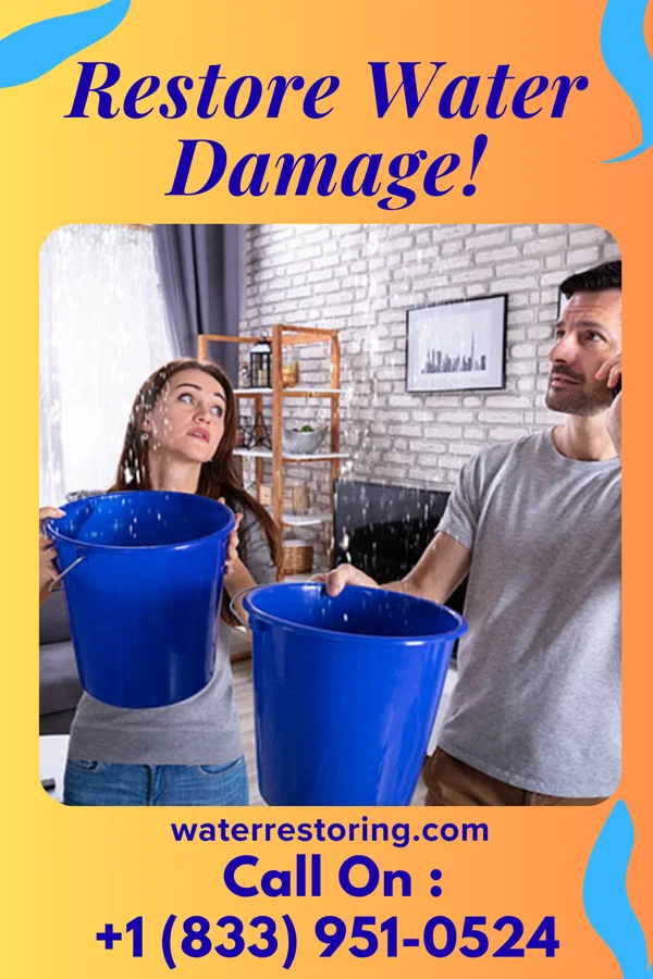 water restoration Local Water Removal Professionals Sierra View