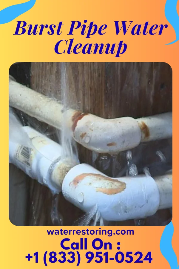 Burst Pipe Water Cleanup in Sierra View, PA