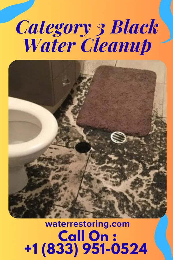 Category 3 Black Water Cleanup in Sierra View, PA