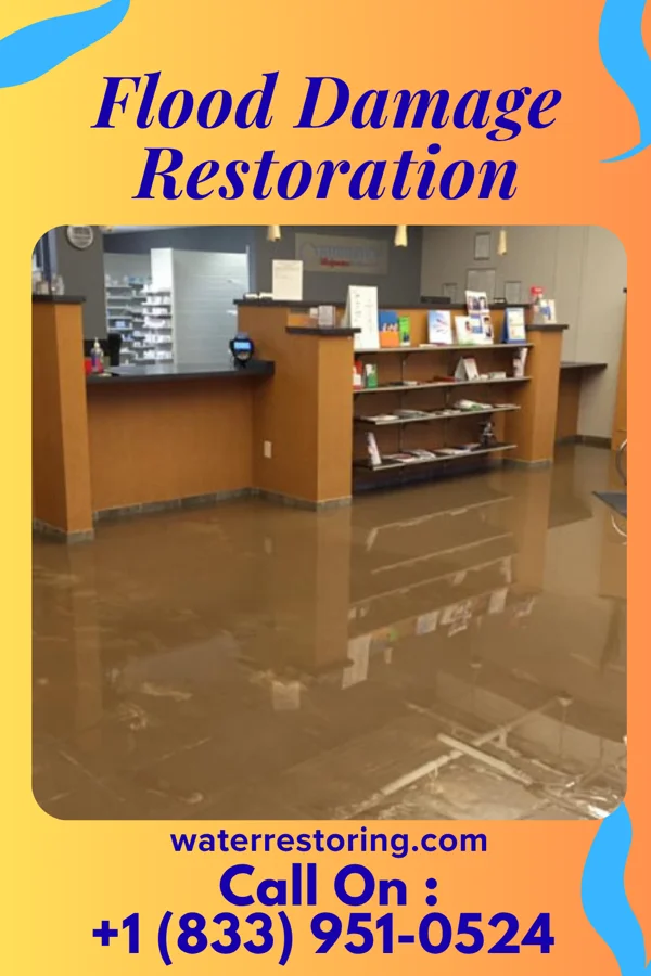 Flood Damage Restoration in Sierra View, PA