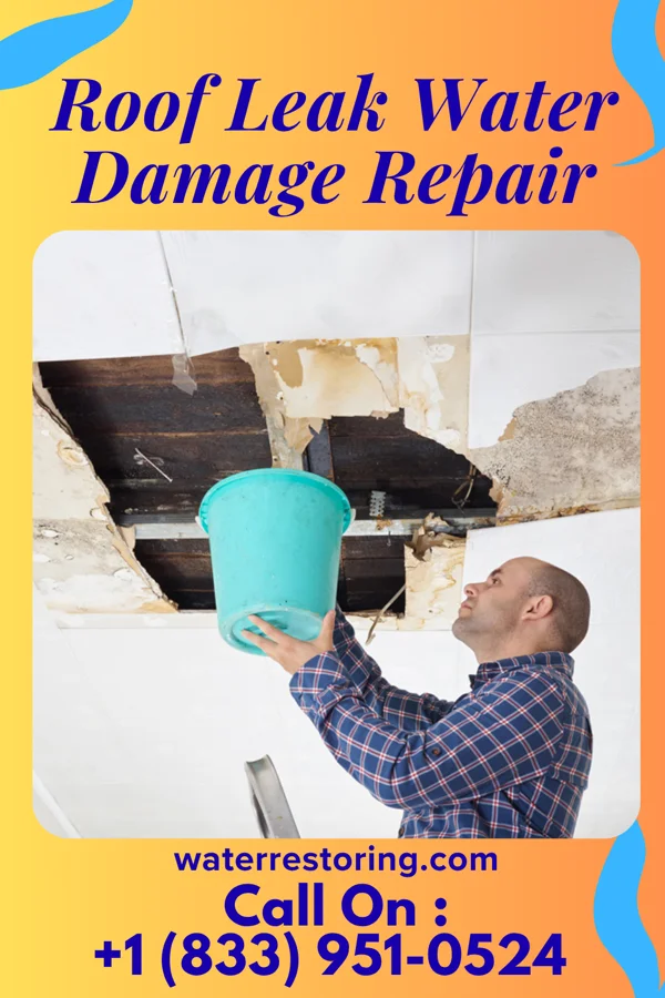 Roof Leak Water Damage Repair in Sierra View, PA