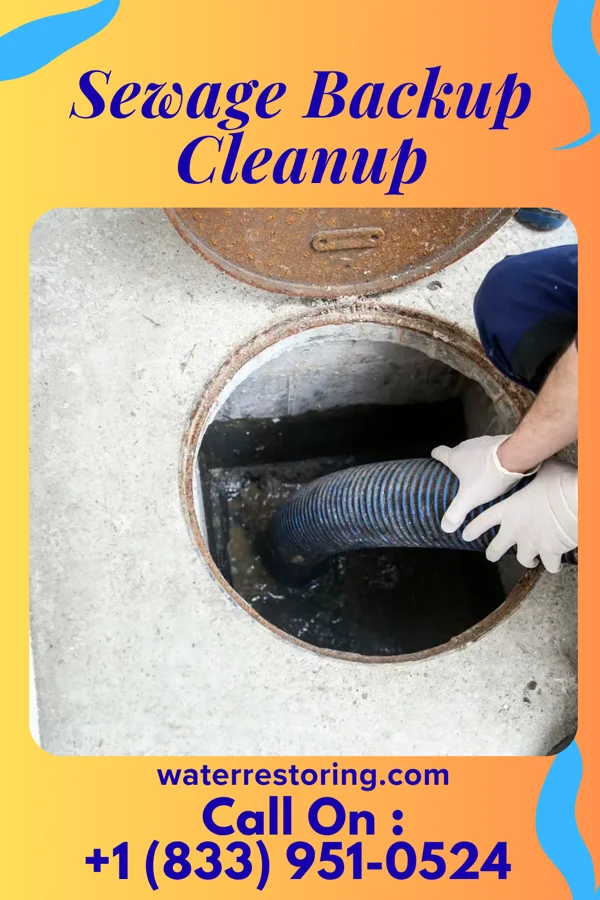Sewage Backup Cleanup in Sierra View, PA