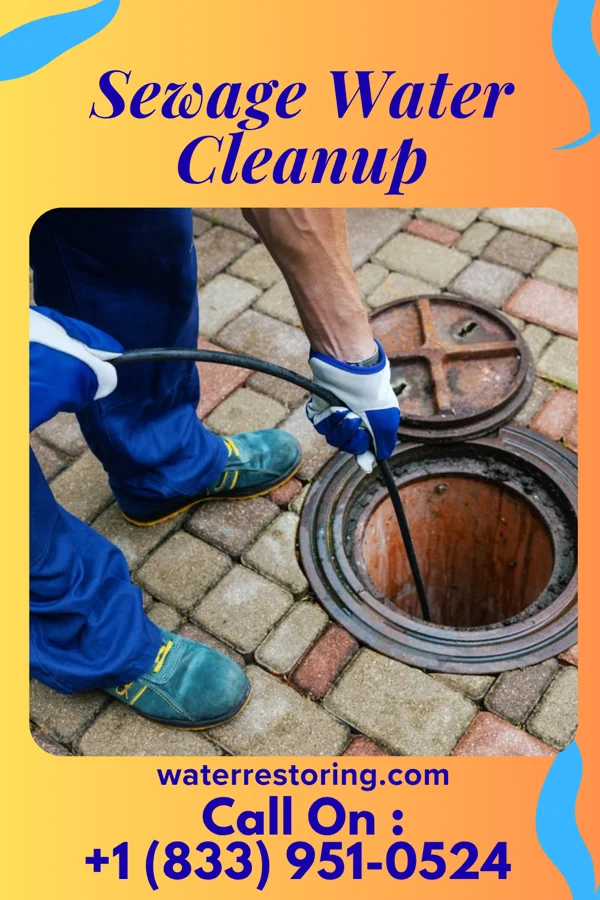 Sewage Water Cleanup in Sierra View, PA